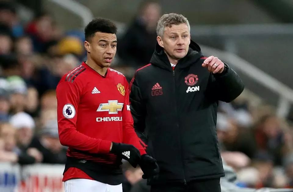 他们再次赢 他们再次赢