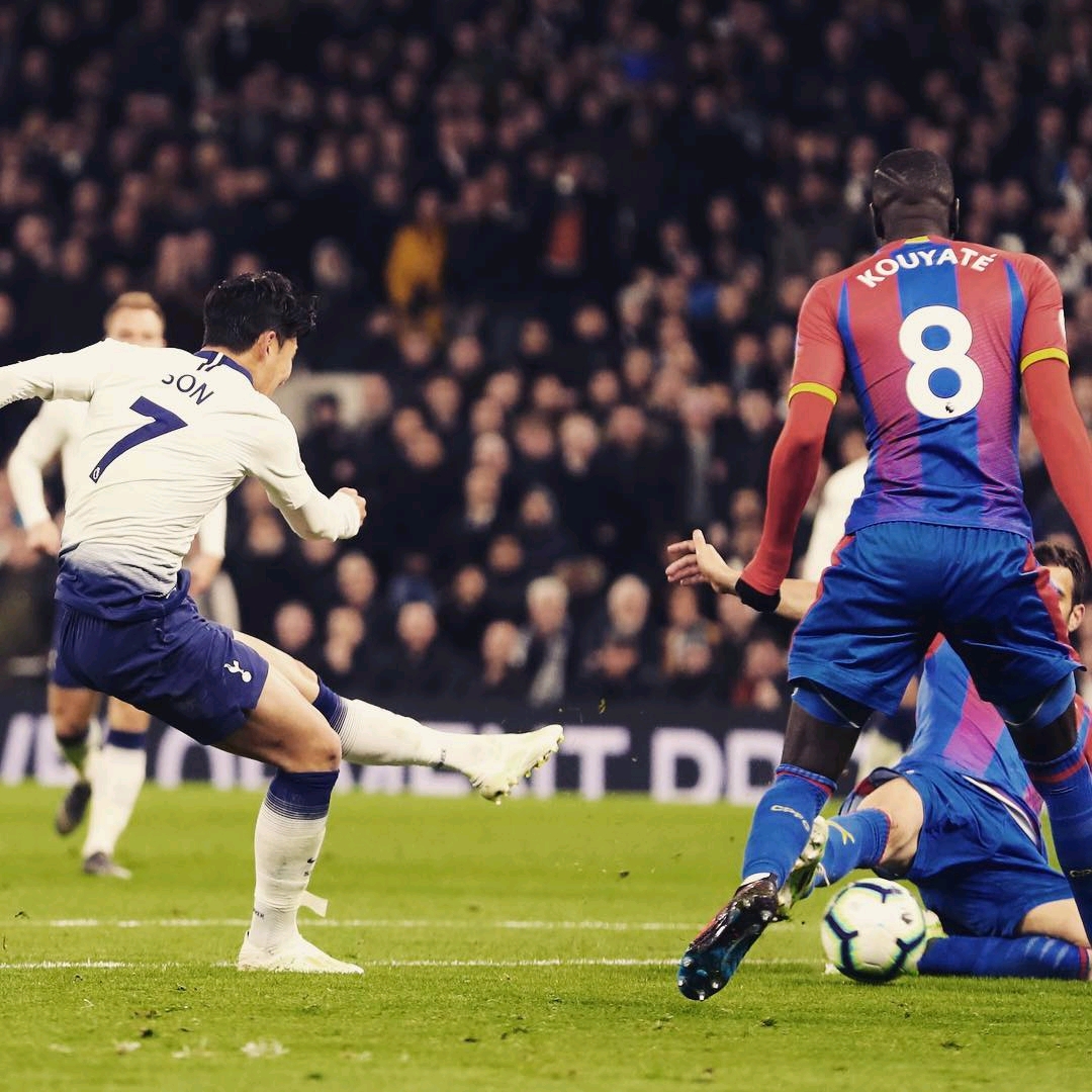 育项目中来 育项目中来